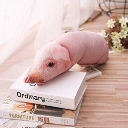 Pig Pillow Realistic Stuffed Animal